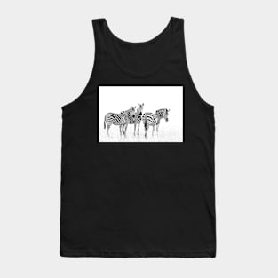 Zebra Trio in Winter Grass | African Wildlife Tank Top